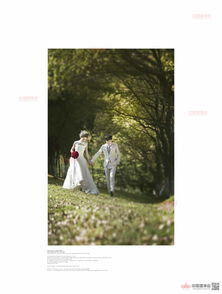 專業(yè)與貼心并存 上海蔚藍海岸婚紗攝影的難忘體驗